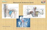 Manual de Anatomia Geral - MassagemPro de Anatomia...cervical, tóracica, lombar e sagrada, que correspondem à área da coluna vertebral de onde saem. Muitos nervos raquidianos estão