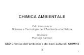 CHIMICA AMBIENTALE - units.it...CHIMICA AMBIENTALE CdL triennale in Scienze e Tecnologie per lAmbiente e la Natura Docente Pierluigi Barbieri SSD Chimica dell’ambiente e dei beni