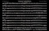 Abel Tasman - Alpen-SoundAbel Tasman Alexander Pfluger Konzertmarsch Notenausgabe für Kleine Blasbesetzung No. 033 KB ¡ " D D D DD Holz in B D Flgh./Trp. in B D Ten./Bar. in B D