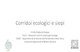 Corridoi ecologici e siepi · 2019. 2. 8. · Corridoi ecologici e siepi Emilio Padoa-Schioppa RULE –Research Unit of Landscape Ecology DISAT –Dipartimento di Scienze dell’Ambiente