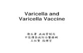 Varicella and Varicella Vaccine · 2012. 11. 13. · Varicella Zoster Virus ... following MMR • No increased risk if varicella vaccine given simultaneously or more than 30 days