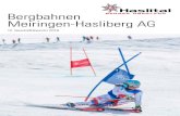 Bergbahnen Meiringen-Hasliberg AG...Kehrli Beat, Hasliberg VR-Mitglied gewählt bis GV 2020 Geschäftsleitung Wenger Hanspeter, Goldswil, Vorsitzender der Geschäftsleitung Horat Theo,
