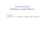 Procariotos I Biologia e importância · 2017. 3. 24. · Procariotos: Aparecimento na Terra tempo 3,5 bilhões de anos 230 milhões de anos 50-60 mil anos