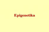Mechanizmy epigenetickej kontroly a vizualizácia epigenetických …biocentrum.zf.jcu.cz/docs/ruzne/ruz-Epi-758a66d081.pdf · 2018. 1. 3. · Epigenetika . EPIGENETICKÁ DĚDIČNOST