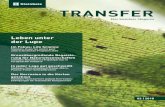TRANSFER - Steinbeis IFEM · 2020. 9. 25. · Eine Übersicht aller Steinbeis-Unternehmen und deren Dienstleistungsangebot finden Sie auf → Verbund Technologie.Transfer. Anwendung.