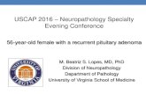 USCAP 2016 Neuropathology Specialty Evening Conferencehandouts.uscap.org/2016_neur_lopes_1.pdf · 2016. 3. 10. · granular cell tumors, and spindle cell oncocytomas revealed morphologic