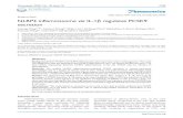 Ivyspring International Publisher Theranostics7100 Theranostics 2020; 10(16): 7100-7110. doi: 10.7150/thno.45939 Research Paper NLRP3 inflammasome via IL-1β regulates PCSK9 secretion