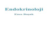 Enes Başak Endokrinoloji/1enesbasak.com.tr/wp-content/uploads/2017/01/...4 - Endokrin Aciller 22 5 - Metabolik Kemik Hastalıkları 29 6 - Norolojik Muayene 35 7 - Obezite Ve Tedavisi