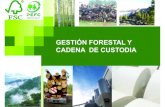 GESTIÓN FORESTAL Y CADENA DE CUSTODIA forestal... · 2020. 9. 25. · FSC FSC: (Forest Stewardship Council, o consejo de administración forestal). Se trata de una organización