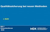 J. Giehl - MDK Bayern · 2019. 1. 9. · FFR-Messung + Thullium-Laser beim BPS + Hyperbare O2 -Therapie diab. Fuß-S. (in Bearb.) + Funktionsanalyse Kardioverter/Defibr. u. + Neu: