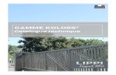 Catalogue technique - LIPPI · (plan fourni). Le portail KOLOSS® est uniquement disponible en version automatisée avec piles à visser. Matériau : - Tube acier galvanisé - Galvanisation