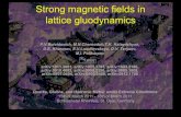 Strong magnetic fields in lattice lattice ...crunch.ikp.physik.tu-darmstadt.de/qghxm/2011/TALKS/...Lattice simulations with magnetic fields, status 1. Chiral Magnetic Effect 1.1 CME