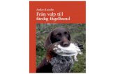 Anders Landin Från valp till färdig fågelhundlandins-hund-katt.se/.../Landins-bok-andra-utgavan.pdf · gånger, att det sätt att träna jag skriver om i boken ger resultat –