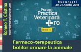 Farmacoterapeutica bolilor urinare la animaleveterinarypharmacon.com/docs/1919-2018_Bucuresti.pdf · 2018. 5. 2. · Boli autoimune Boli infecțioase Boli colagen-vasculare Anemie