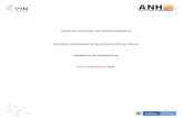 AGENCIA NACIONAL DE HIDROCARBUROS · 2020. 11. 5. · 4 RELACIÓN DE ANEXOS Concepto Estudios Previos Acuerdo 2 de 2017 - Reglamento de Contratación para Exploración y Explotación