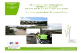 Bulletin de Situation Hydrologique en LanguedocRoussillon · 2011. 1. 10. · Bulletin de situation hydrologique et de la ressource en eau en Languedoc-Roussillon au 1er janvier 2011