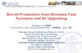 Bio-oil Production from Biomass Fast Pyrolysis and its ......The flow chart of the fluidized bed reactor fast pyrolysis system Shanghai Jiao Tong University Results Conclusion October