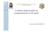 Cultura informaţiei şi componentele ei de bază · 2021. 1. 4. · Structuri importante – Centre de Informare şi Documentare-Camera Naţională a Cărţii; Adresa: bd. Ştefan