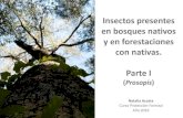 Insectos presentes en bosques nativos y en forestaciones ......Insectos presentes en bosques nativos y en forestaciones con nativas según las Regiones Fitogeográficas Selva Paranaense