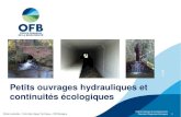 Petits ouvrages hydrauliques et continuités écologiquesatbvb.fr/sites/default/files/media/20201210_formation... · 2020. 12. 13. · Petits ouvrages hydrauliques et ... • Par