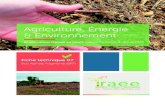 Agriculture Énergie Environnement · 2017. 10. 4. · Le Bois Raméal Frangmenté (BRF) 2 Exemple d’un maraîcher et céréalier Gérard Daumas est maraîcher et céréalier à