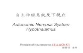 The Autonomic Nervous System · 2020. 11. 12. · Autonomic Nervous System •Sympathetic nervous system: –Spinal nerves T 1-L 3 •Parasympathetic nervous system: –Cranial nerves