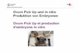 PP OPU cows owners JT - UZH - Tierspital725f5724-f0d5-4e37... · 2018. 11. 6. · Microsoft PowerPoint - PP OPU cows owners_JT.pptx Author: jtrave Created Date: 10/31/2018 11:52:45