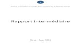 Rapport intermédiairetravail-emploi.gouv.fr/IMG/pdf/rapport_final_24_nov.pdf · 2016. 12. 1. · 2 Synthèse Le Plan pluriannuel contre la pauvreté et pour l’inclusion sociale,