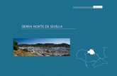 SIERRA NORTE DE SEVILLA - Paisaje y Territoriopaisajeyterritorio.es/assets/a2-11.-sierra-norte-de-se... · 2020. 10. 26. · décadas. Así mismo, y repartido por el conjunto del