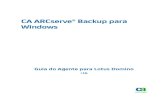CA ARCserve® Backup para Windows...Opção corporativa para SAP R/3 para Oracle do CA ARCserve® Backup para Linux CA ARCserve® Backup para Microsoft Windows Essential Business Server