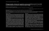 Diagnostyka obrazowa guzów neuroendokrynnych trzustki z ......Diagnostyka obrazowa guzów neuroendokrynnych trzustki z elementami leczenia radioizotopowego 31 właściwego stopnia