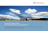 Potenziale für Erneuerbare Energien - DGS · 2018. 10. 8. · diesen Flächen können EE-Anlagen nur dann zuge-lassen werden, wenn die Erhaltungsziele der Gebiete nicht in erheblichem