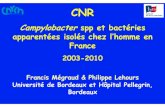 Campylobacterspp et bactéries apparentées isolés chez l’homme … · 2019. 7. 3. · CNR Campylobacterspp et bactéries apparentées isolés chez l’homme en France ... Femme