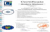 H2FC certificat Nielsen2 - HySafe · 2012. 3. 8. · Certificate Examiners: Director of the Summer School Dr. Robert Steinberger Wilckens has succesfully completed the course In this