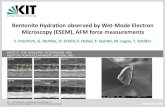 Bentonite Hydration observed by Wet-Mode Electron ...INSTITUT FÜR NUKLEARE ENTSORGUNG (INE) 4 The Scanning Electron Microscope Principles Electron source produces é-beam (High vacuum: