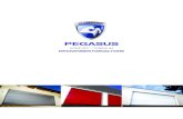 PEGASUS - Guttomat · 2020. 2. 17. · PEGASUS PrEmiUm Deckensektionaltore AlUminiUm-AUSführUnG Pegasus Premium in Grau-Aluminium (RAL 9007) Einzigartige, perfekt glatte Oberfläche,