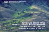 Évaluation des ressources forestières mondiales 2015 · 2021. 2. 8. · L’Évaluation des ressources forestières mondiales les forêts gérées durablement fournissent des produits