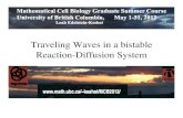 Traveling Waves in a bistable Reaction-Diffusion Systemkeshet/MCB2012/SlidesLEK/TravWaves_ppt.pdf · 2012. 4. 12. · Bistable.ode! Interpretation:! Each trajectory describes how