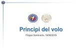 Principi del volo - Collegio Ingegneri Venezia · 2016. 7. 4. · Principi del volo Filippo Santinello, 18/06/2016 . Agenda degli argomenti •Cenni sui fenomeni fisici alla base