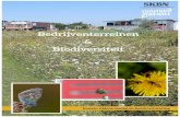 Bedrijventerreinen Biodiversiteit - Klimaatadaptatie · 2020. 6. 10. · TU Delft Campus Zuid is een nieuwe gebiedsontwikkeling van ongeveer 125 hectare, waar-van 100 hectare is bestemd