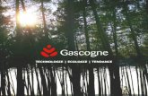 TECHNOLOGIE | ECOLOGIE | TENDANCE - Gascogne Bois · 2018. 3. 14. · Gascogne Bois offre aujourd’hui une large collection de produits bois bruts ou décoratifs. Gascogne Bois est