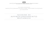 SCHEDE DI APPROFONDIMENTO BOTANICO - CAI Tolmezzocaitolmezzo.it/botanica.pdf · 2020. 5. 10. · Tassonomia filogenetica: Famiglia: Asteraceae Genere: Aposeris Nomi regionali: Tale