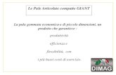 Le Pale Articolate compatte GIANT - MMT ITALIA · 2013. 2. 4. · Carico Operativo Kg. 350 Kg. 450 Kg. 500 Kg.550 Kg. 600 Kg. 650 Kg.700 Kg. 750 Kg. 800 Kg. 850 Kg. 900 Kg. 1000 Kg.