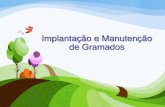 Implantação e Manutenção de Gramados - USP...• É a grama mais comercializada no Brasil 10 Grama Esmeralda Imperial • Nova variedade de grama lançada no Brasil pela Itograss