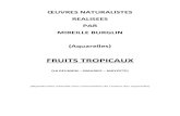 FRUITS TROPICAUX - Philippe Defranouxphilippedefranoux.fr/Documents/MireilleBurglin.pdf · 2016. 3. 5. · sont présentées dans l’ouvrage « Guide des fruits tropicaux – La
