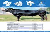Miyazaki Gyu · 2017. 7. 14. · Miyazaki Gyu 1 平成27年2月24日（火）、JA宮崎経済連系統和牛枝肉共励会が㈱ミヤチク高崎工場で開催されまし た。