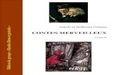 CONTES MERVEILLEUX - Tome II - colorionsmanuel.ovh/letopweb/grimm_contes_2.pdf · 2017. 8. 12. · La Petite table, l’âne et le bâton.....96 La Princesse de pierre ... terre à