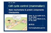 Cell cycle control (mammalian) - 國立臺灣大學ntur.lib.ntu.edu.tw/bitstream/246246/... · Apr. 21, 2005 Cell cycle control (mammalian) Basic mechanisms & protein components Checkpoints