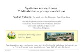 Systèmes endocriniens: 7. Métabolisme phospho-calcique · 2013. 2. 13. · Février 2013 Pharmacologie spéciale: métabolisme phospho-calcique 7. calcitonine - Peptide de 32 acides