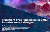 Treatment Free Remission in CML: Promise and challengesplan.medone.co.kr/70_icksh2019/data/LS01_Adam_Mead.pdf · 2019. 6. 27. · KR1903977228 Treatment Free Remission in CML: Promise
